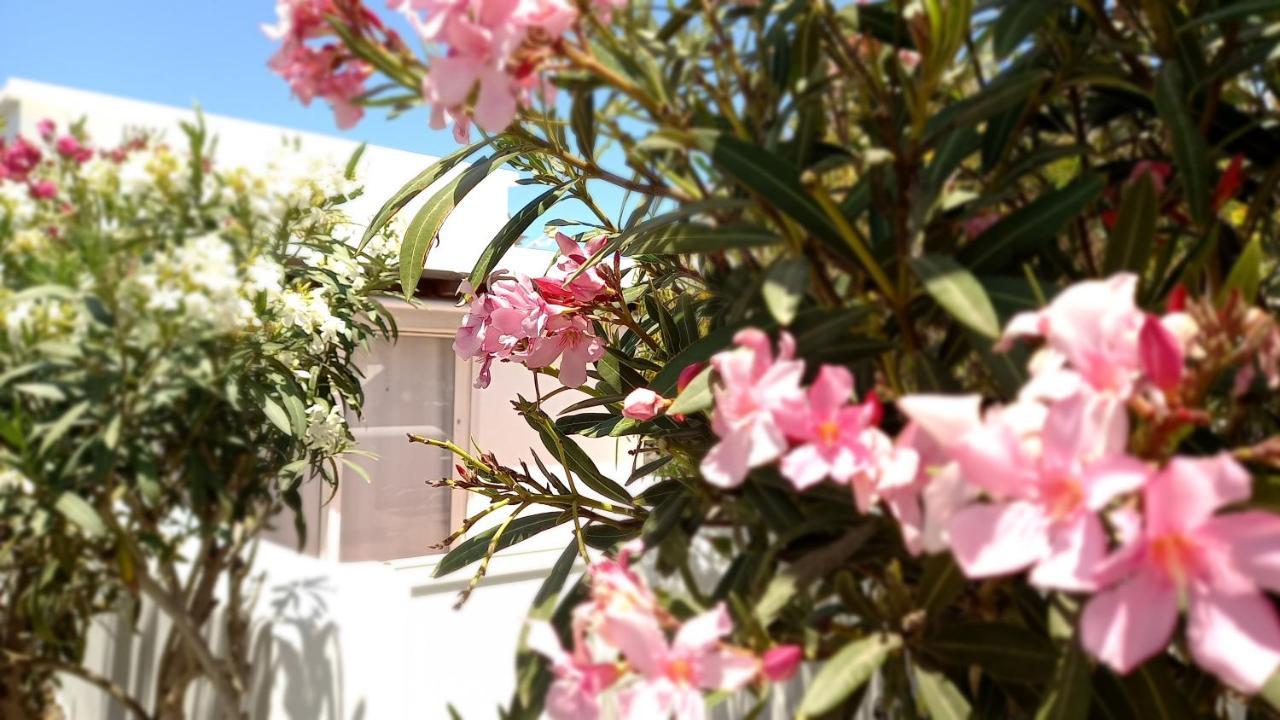 Apartament Little Loft Playablanca Playa Blanca  Zewnętrze zdjęcie